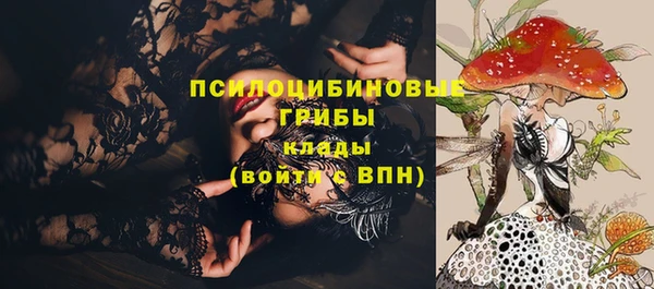 МДПВ Медвежьегорск