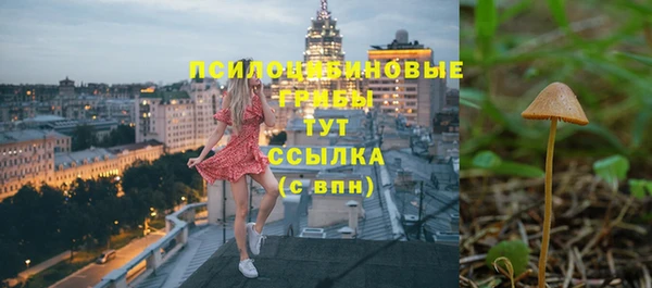 МДПВ Медвежьегорск