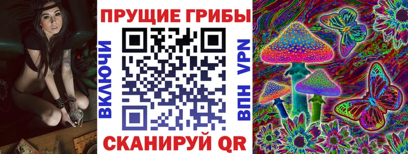 закладка  Удачный  Псилоцибиновые грибы Magic Shrooms 